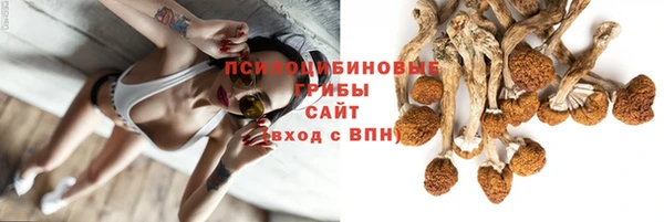 амф Алексин
