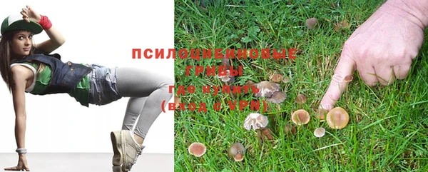 Альфа ПВП Алзамай