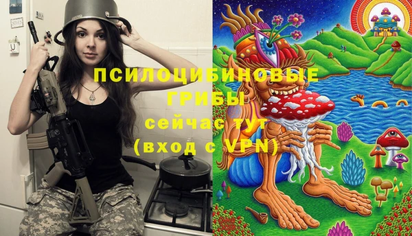 амф Алексин