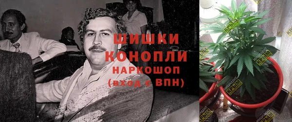 Альфа ПВП Алзамай