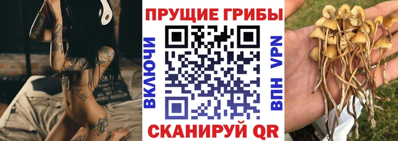 Галлюциногенные грибы мухоморы hydra ссылки Заинск