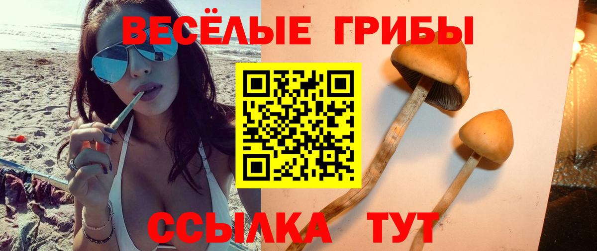 Псилоцибиновые грибы Psilocybe  Вход с VPN  Галлюциногенные грибы ЛСД  Заинск 