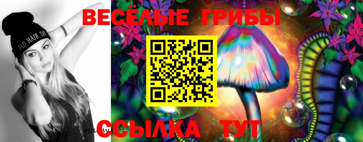 Псилоцибиновые грибы мицелий Заинск